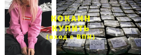 дурь Новодвинск